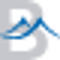 BluPeak Credit Union favicon